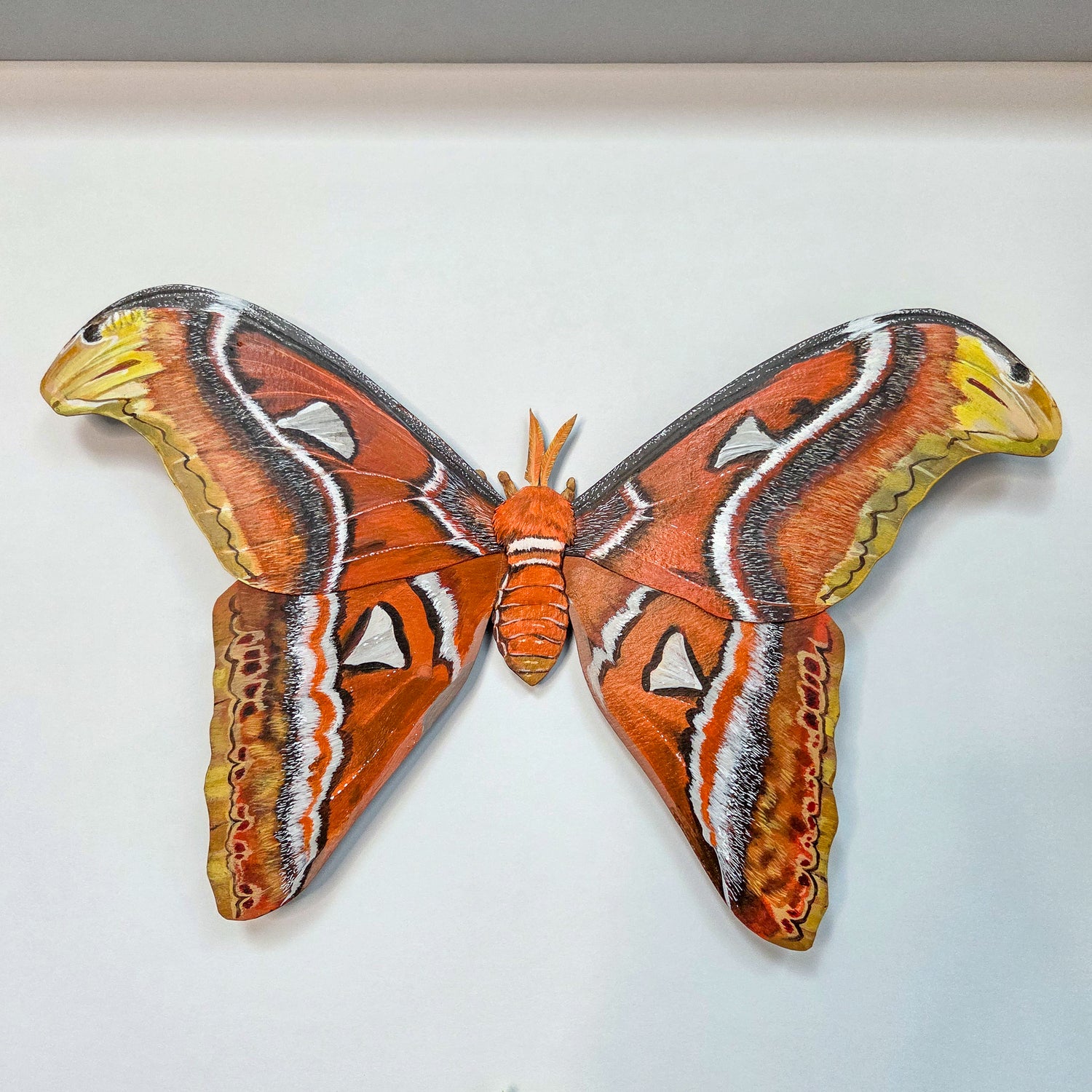 A large Atlas moth sculpture wall mount with spread wings, shown against a plain white background.