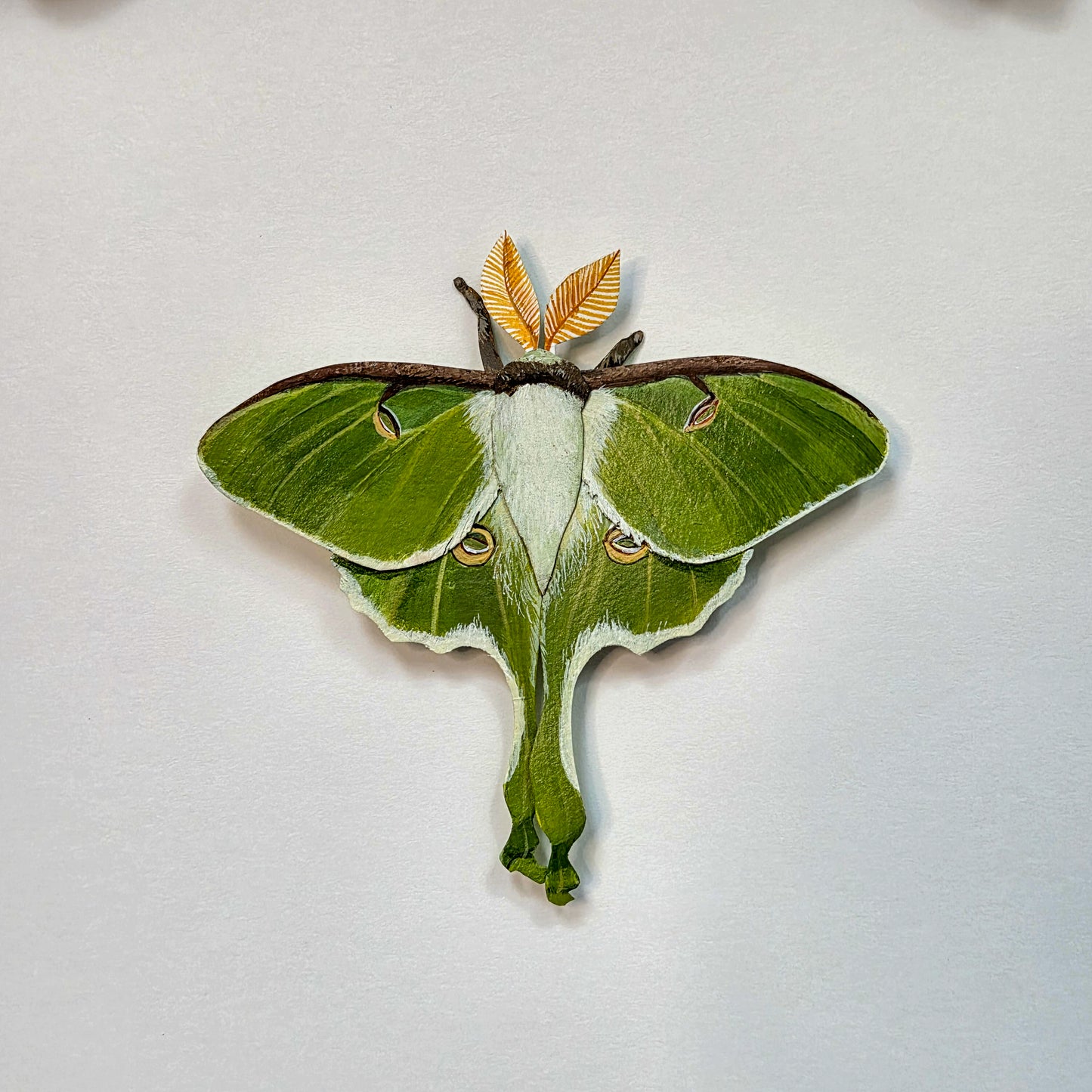 A green luna moth wall art hanging shown against a plain off-white background.