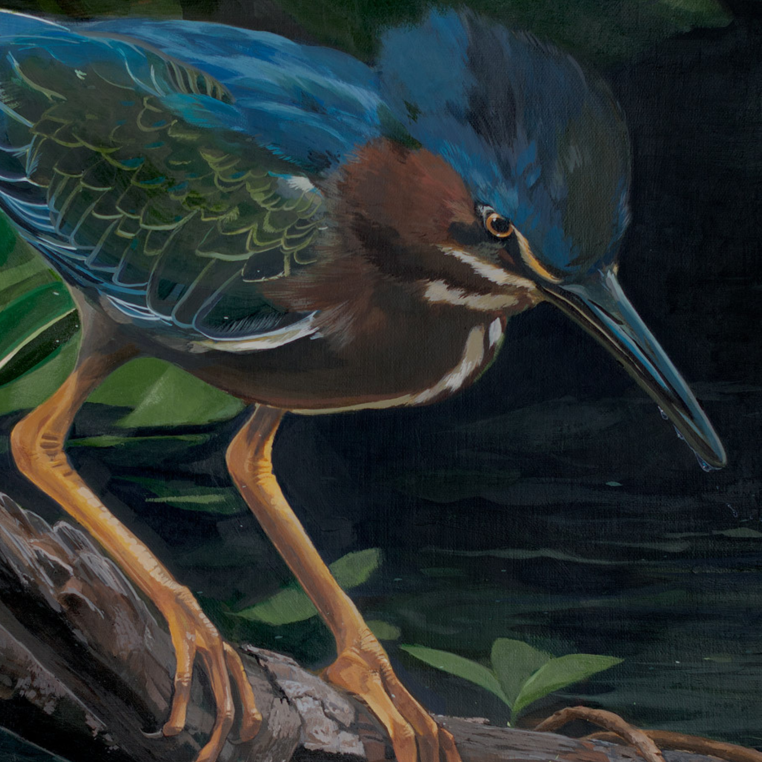 A close-up painted view of a green heron bird in a wetland scene, with blue and green feathers, a brown neck, a long blue-gray beak, and yellow-orange legs over dark water and foliage.