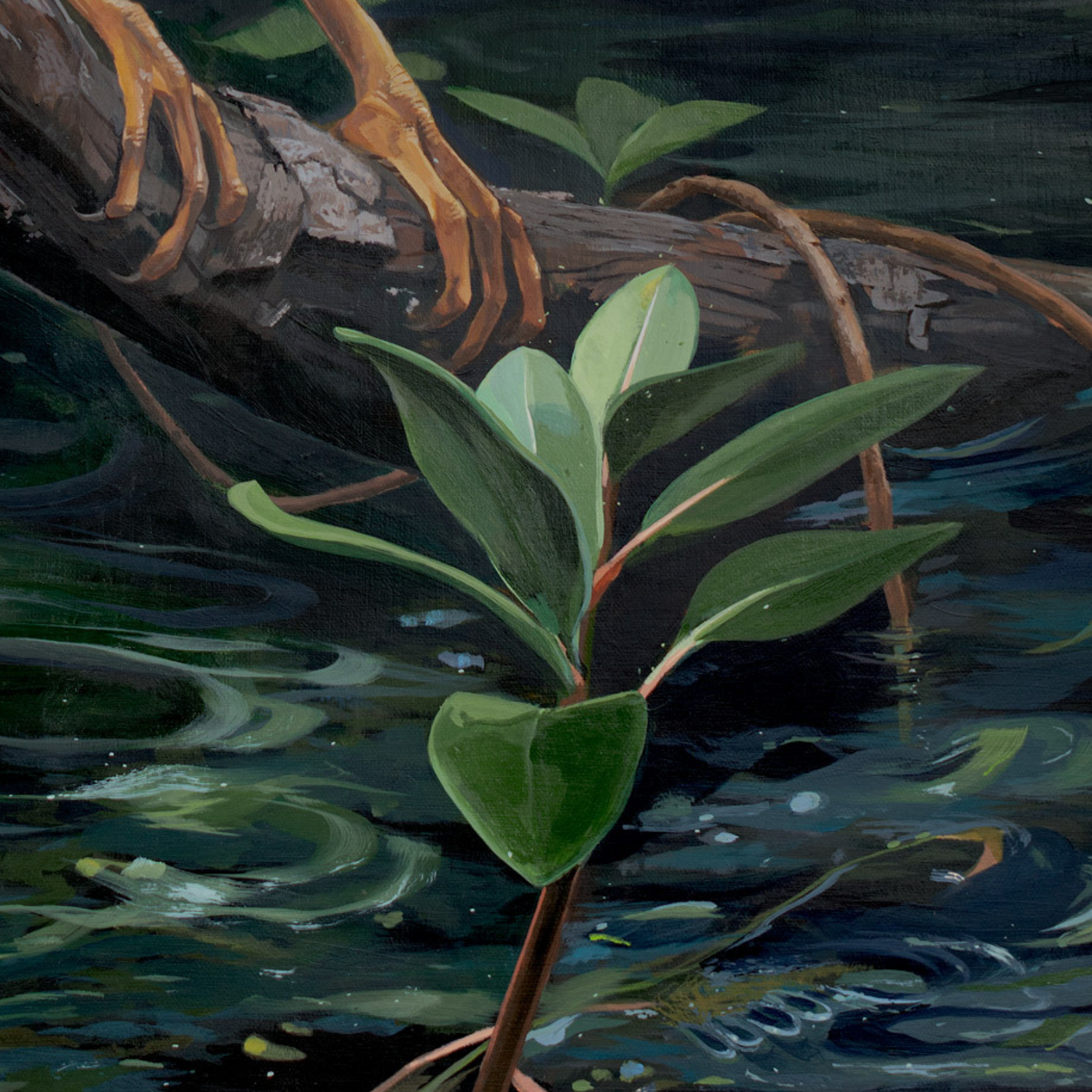 A close-up painted scene of green leaves and stems rising from dark water, with a fallen log and exposed roots behind them.