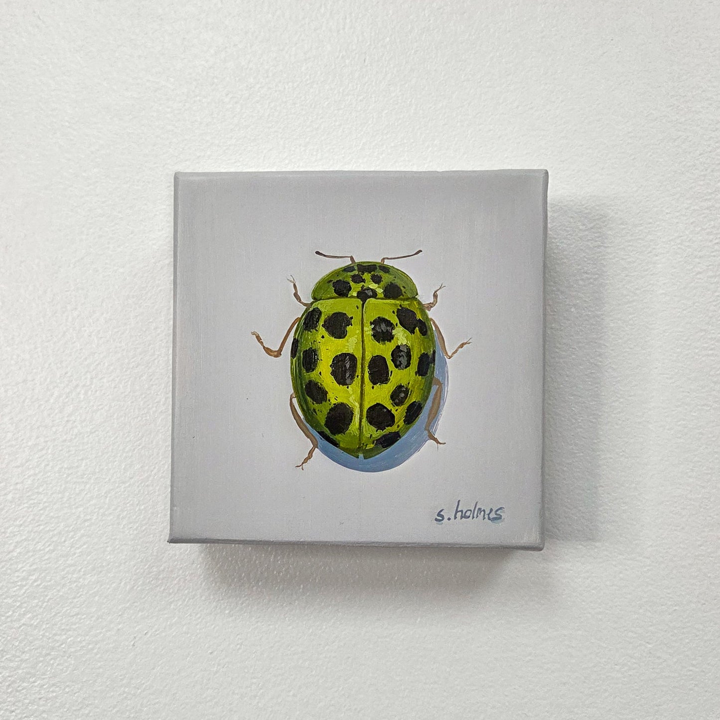 A square canvas painting of a green ladybug with black spots on a light gray background, mounted on a textured white wall.