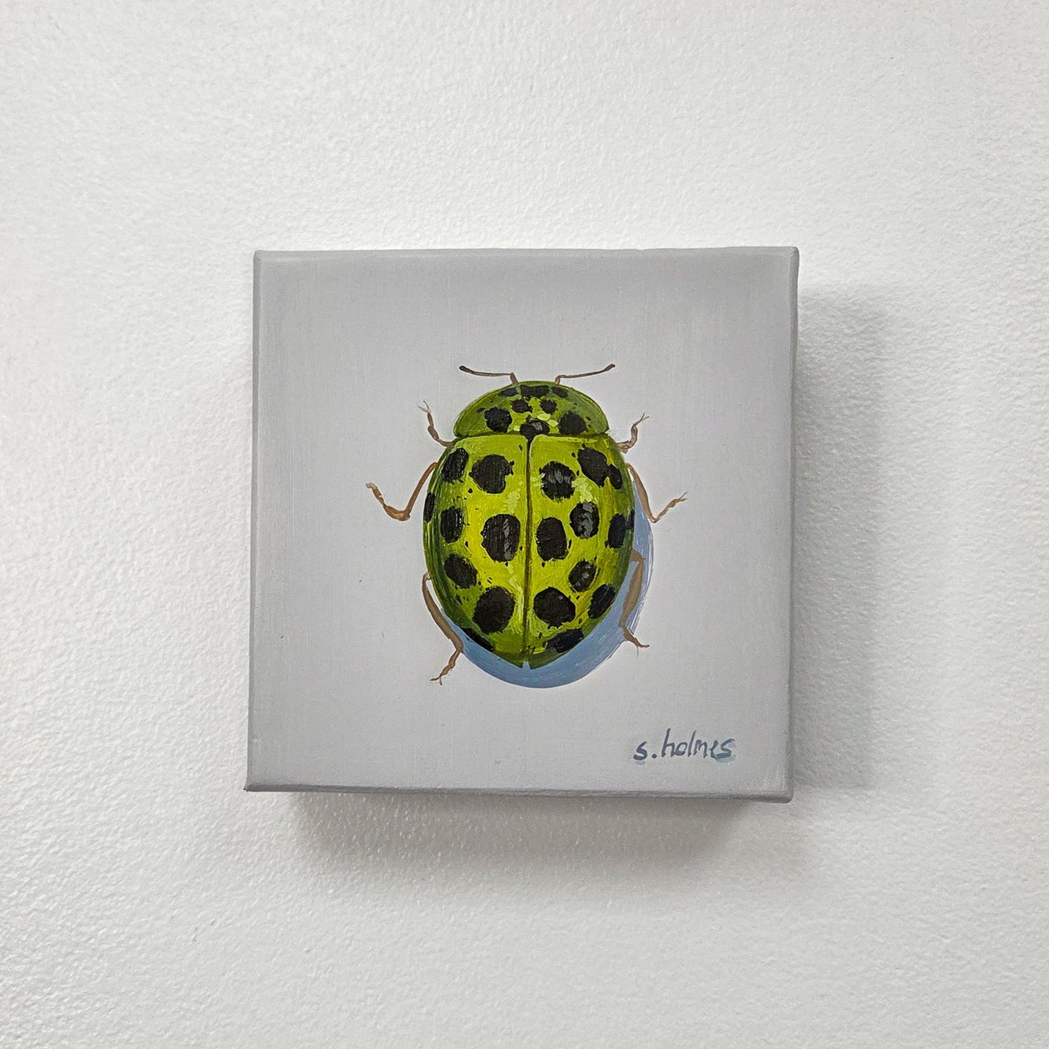 A square canvas painting of a green ladybug with black spots on a light gray background, mounted on a textured white wall.