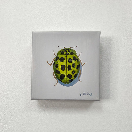 A square canvas painting of a green ladybug with black spots on a light gray background, mounted on a textured white wall.