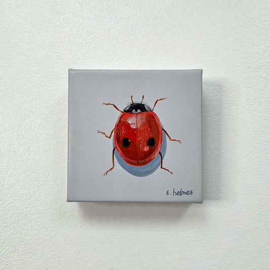 A square canvas painting of a red ladybug with a light gray background, mounted on a textured off-white wall.