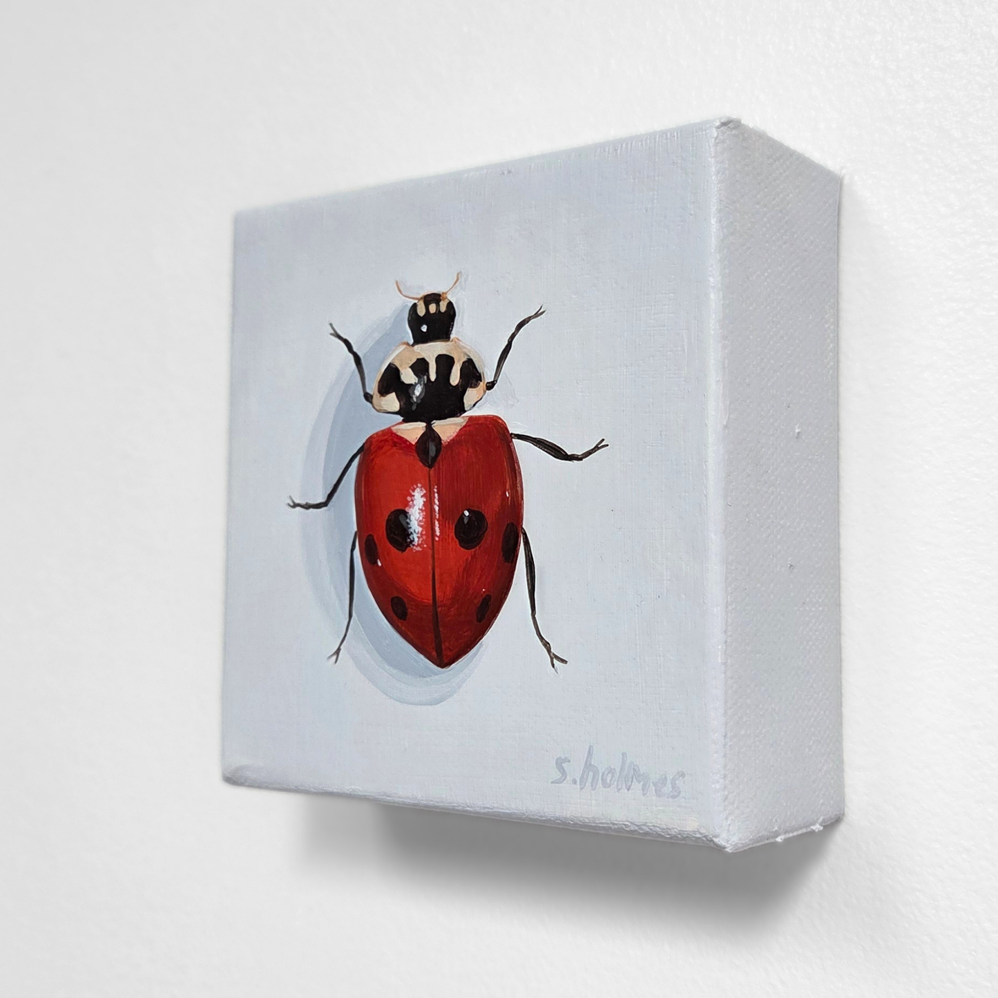 Small painting of a ladybug on a white box with a light gray background