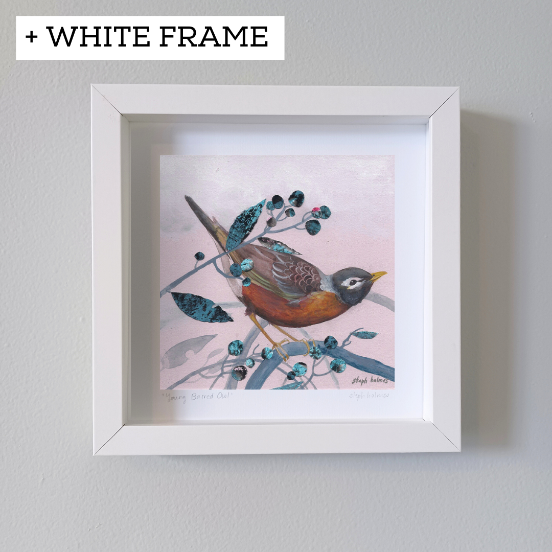 An art print of an American Robin in a white frame hung on a white wall.