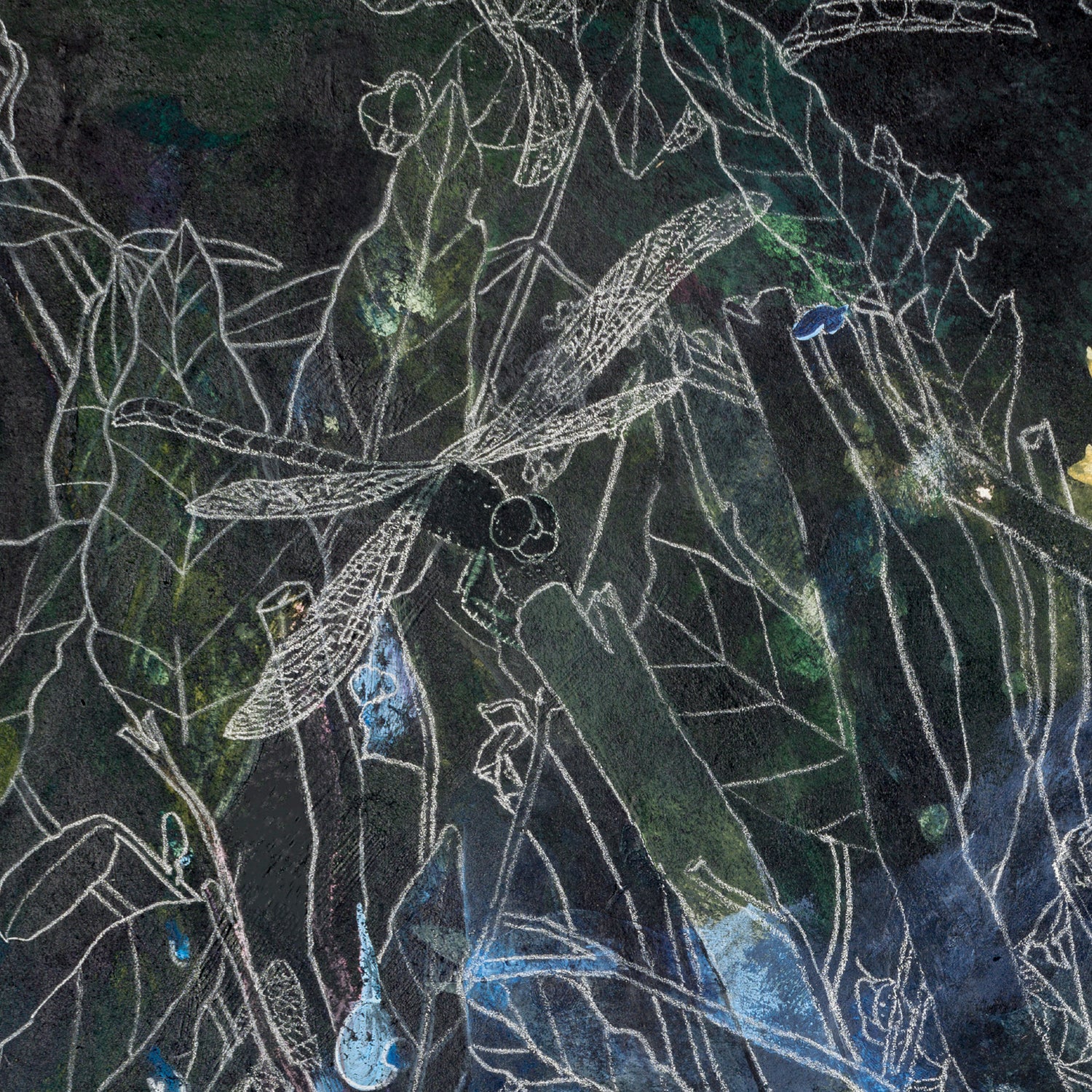 A detail photo of an art print featuring a dragonfly perched on a branch surrounded by detailed green leaves.