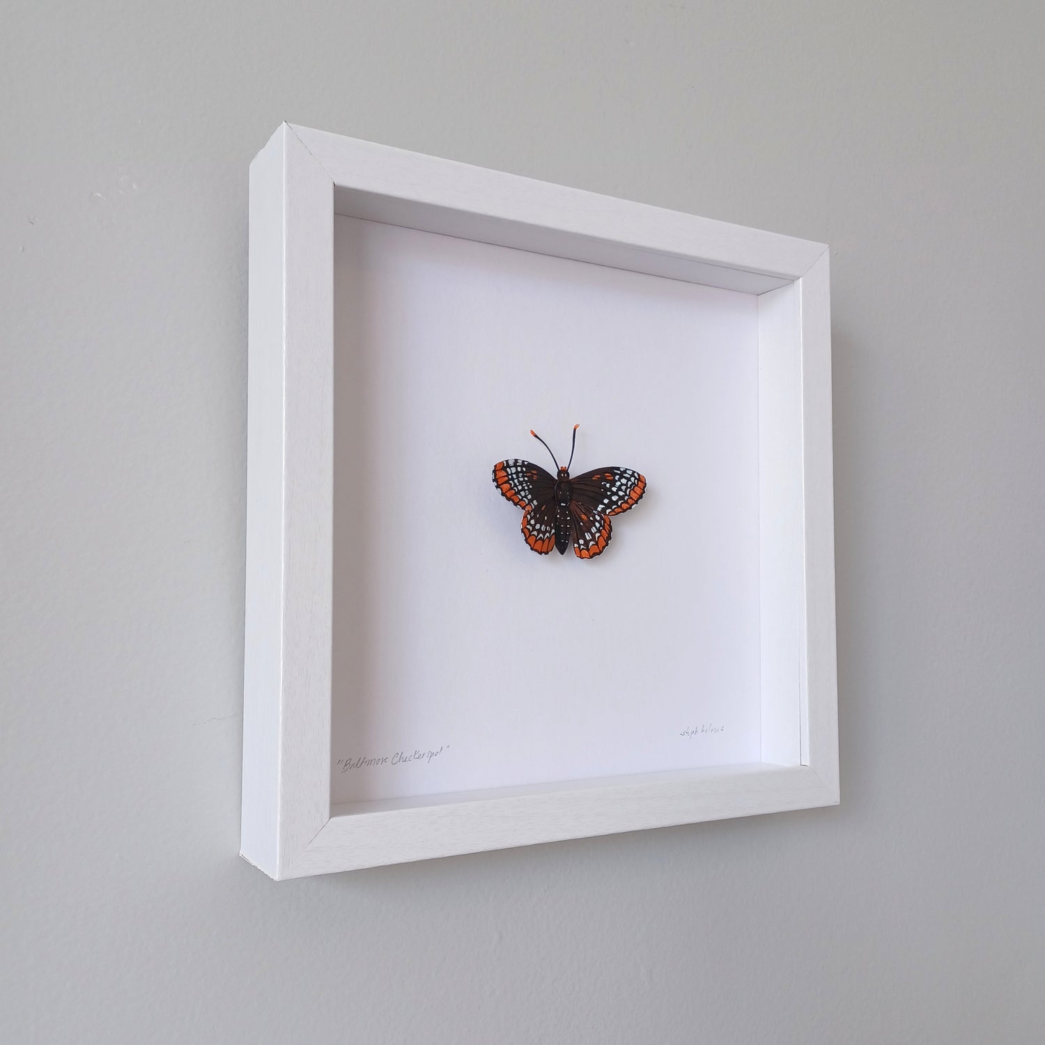 A baltimore checkerspot butterfly sculpture by artist Steph Holmes in a white shadowbox.