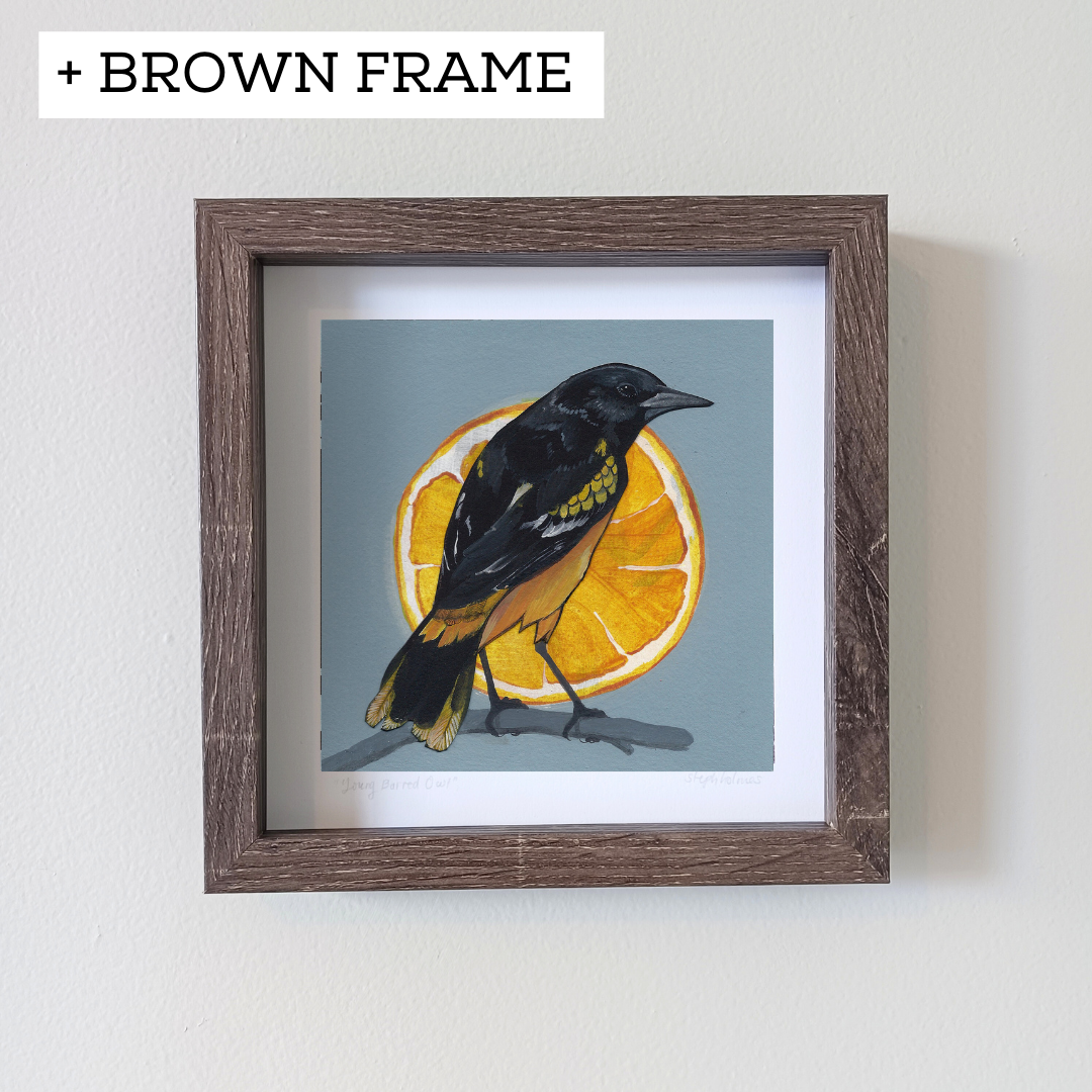 An art print featuring a Baltimore Oriole bird in a brown frame hanging on a white wall.