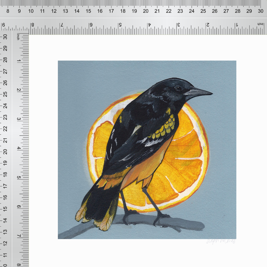 An art print featuring a Baltimore Oriole bird in front of a bright orange slice with a blue background next to a ruler for measurement.