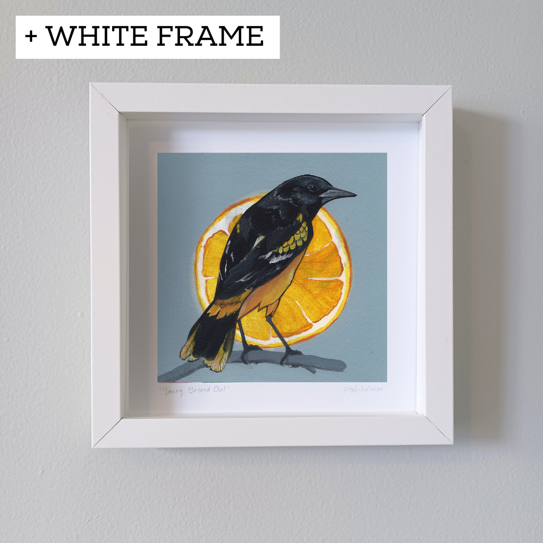 An art print featuring a Baltimore Oriole bird in a white frame hanging on a white wall.