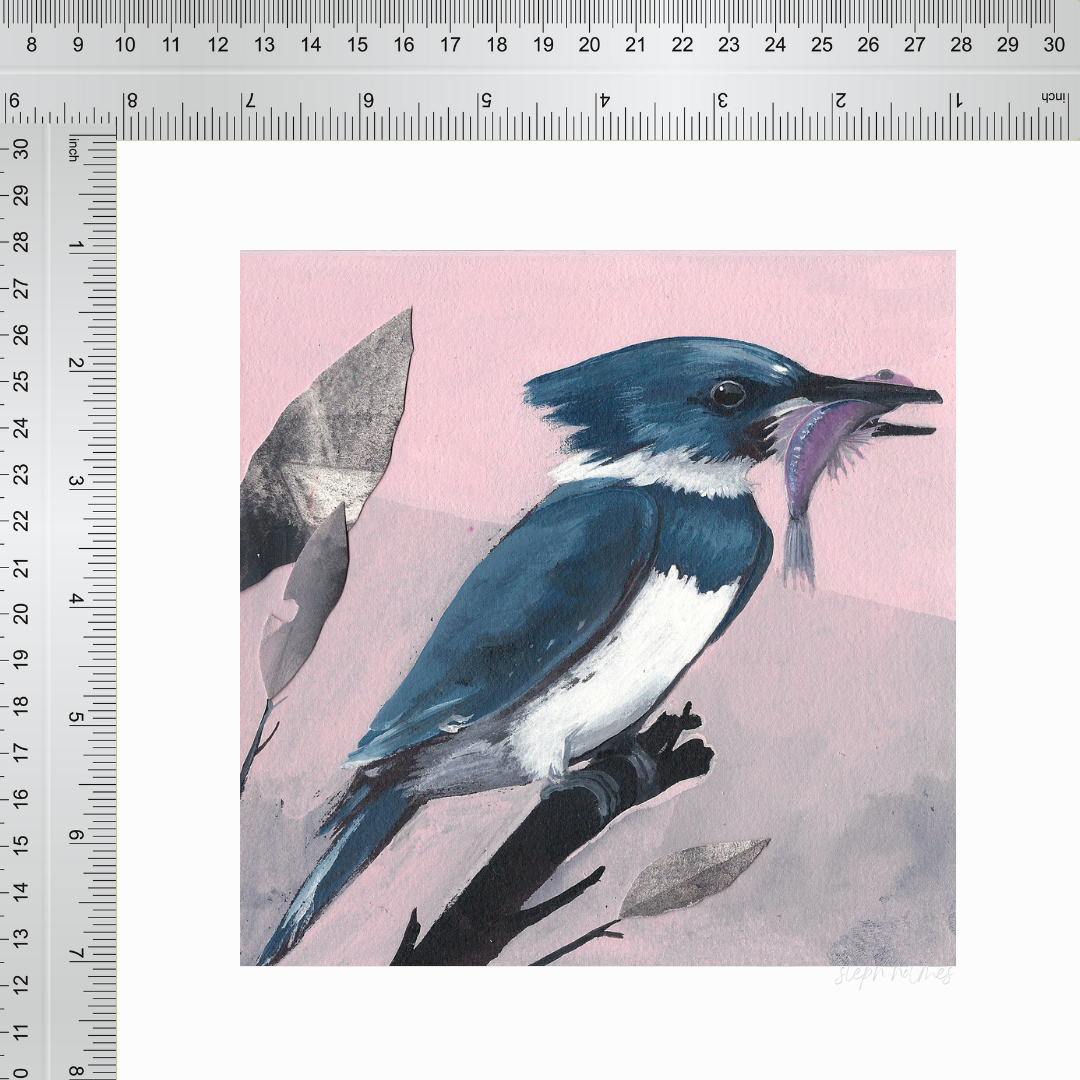 An art print featuring a blue Belted Kingfisher bird next to 2 rulers for measurement.