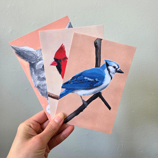 A hand holding a set of three bird postcard prints, including a blue jay on the front.