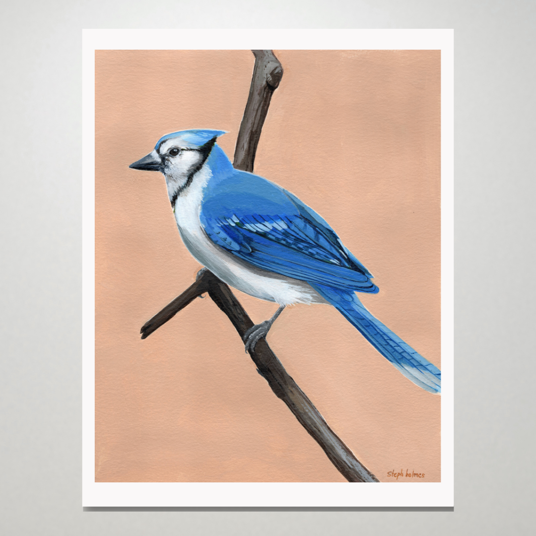 An art print featuring a bright Blue Jay bird on a tan background.