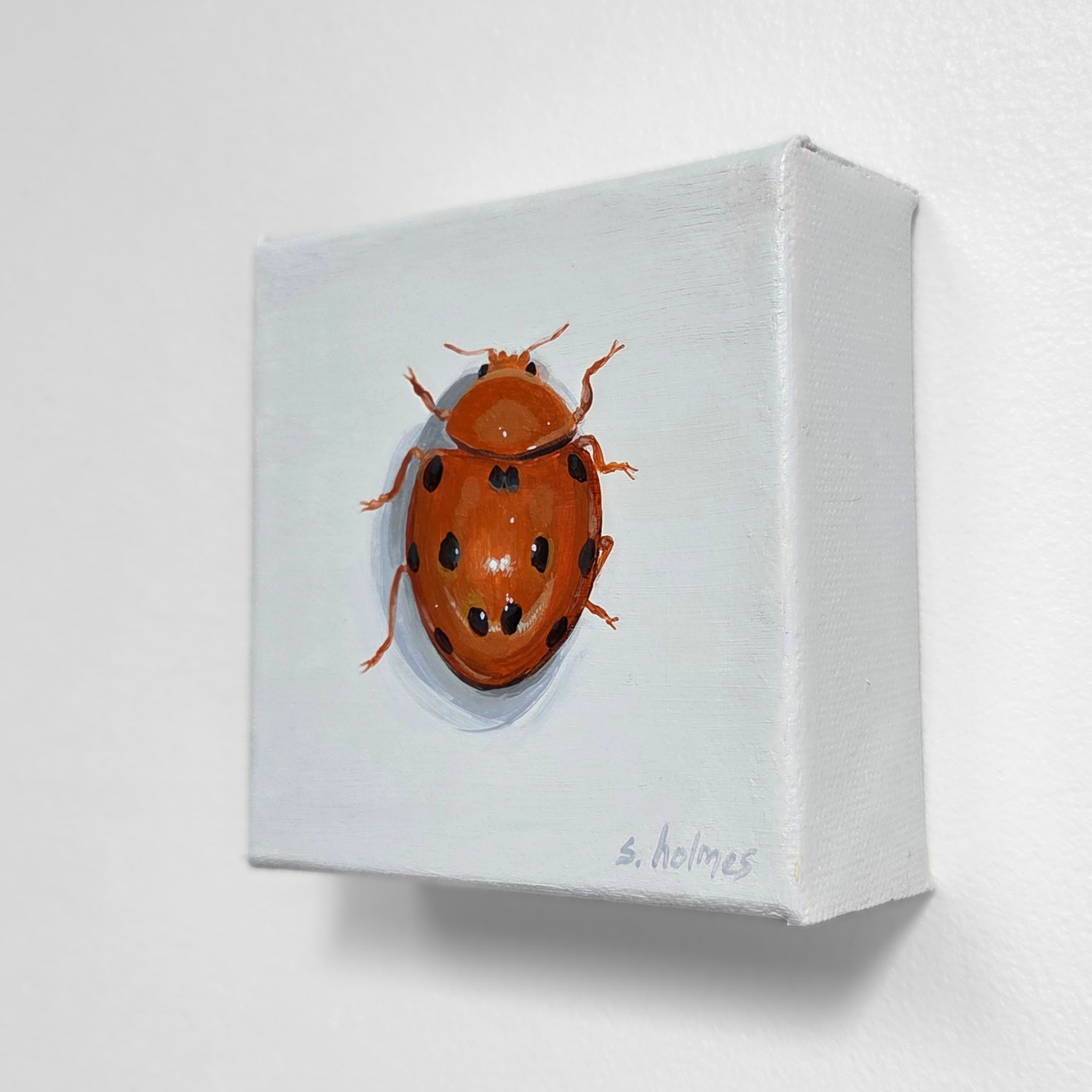 Painting of an orange ladybug on a white square canvas with 'S. Holmes' signature.