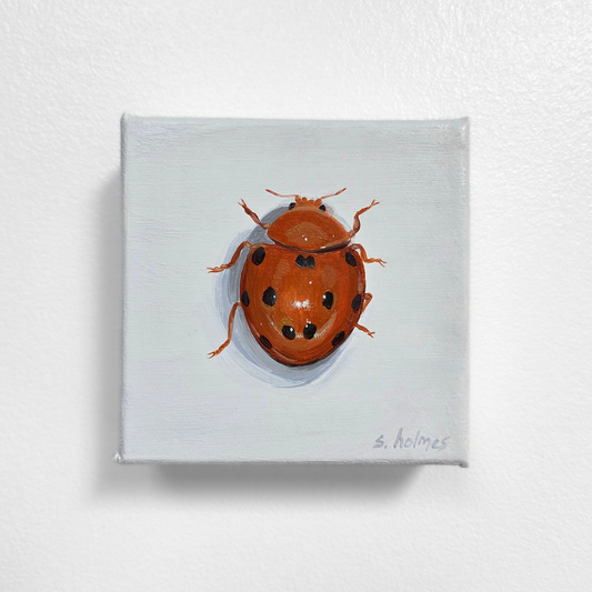 Painting of a ladybug on a white background