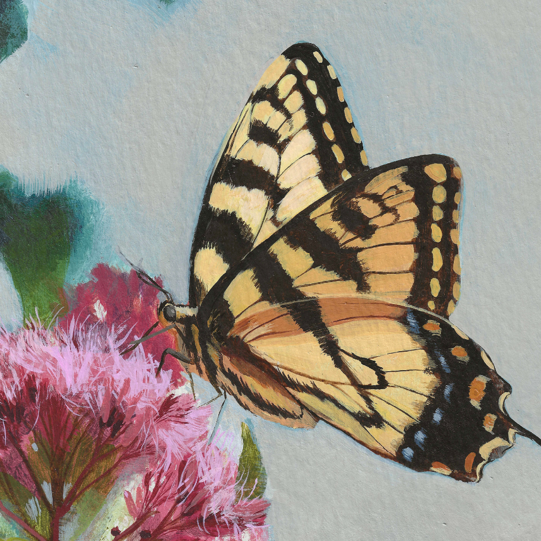 A close-up painted butterfly with yellow, black, and orange wings perched on pink flowers against a soft blue-green background.