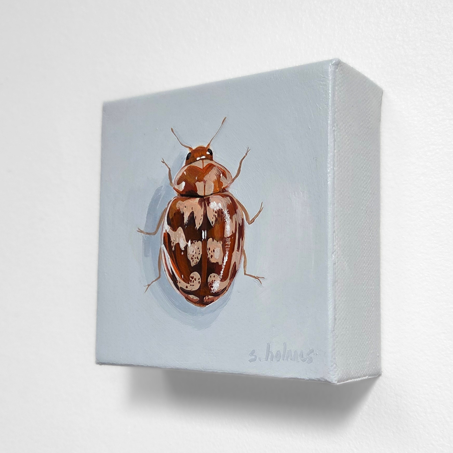 Small square canvas with a detailed painting of a beetle on a light blue background