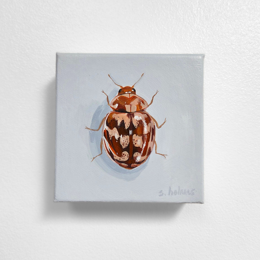 Painting of a ladybug on a light gray background
