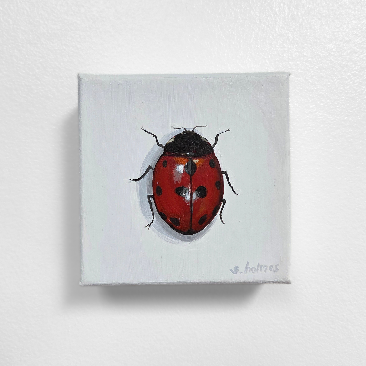 Painting of a red ladybug on a white background
