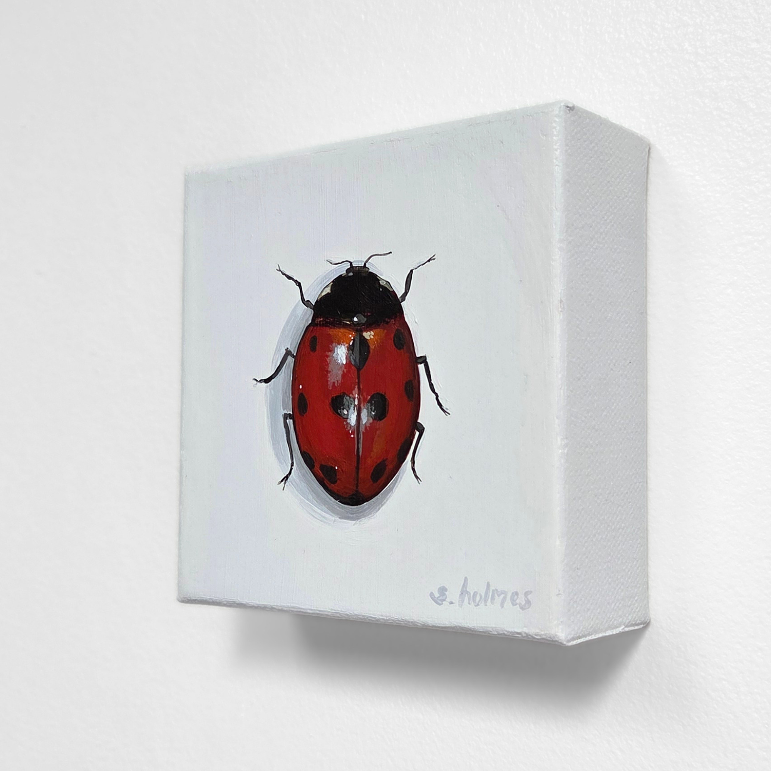 Red and black beetle on a white box with 'holmes' branding