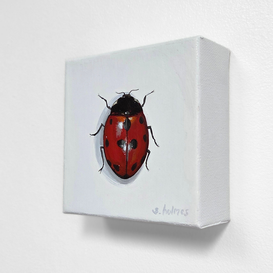 Red and black beetle on a white box with 'holmes' branding