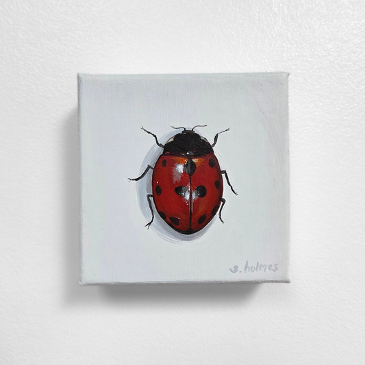 Painting of a red ladybug on a white background