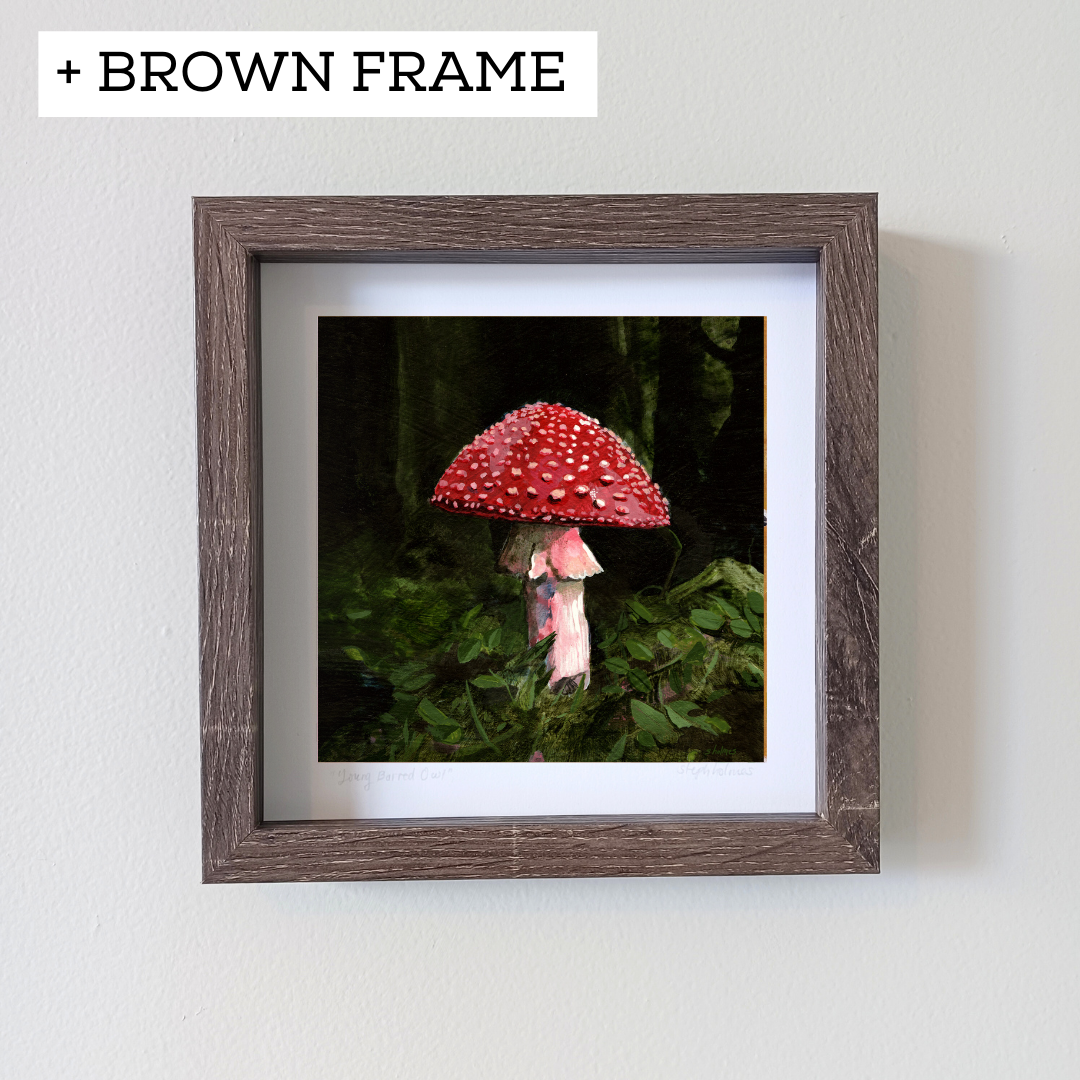 An art print featuring a red and white fly amanita mushroom in brown frame.