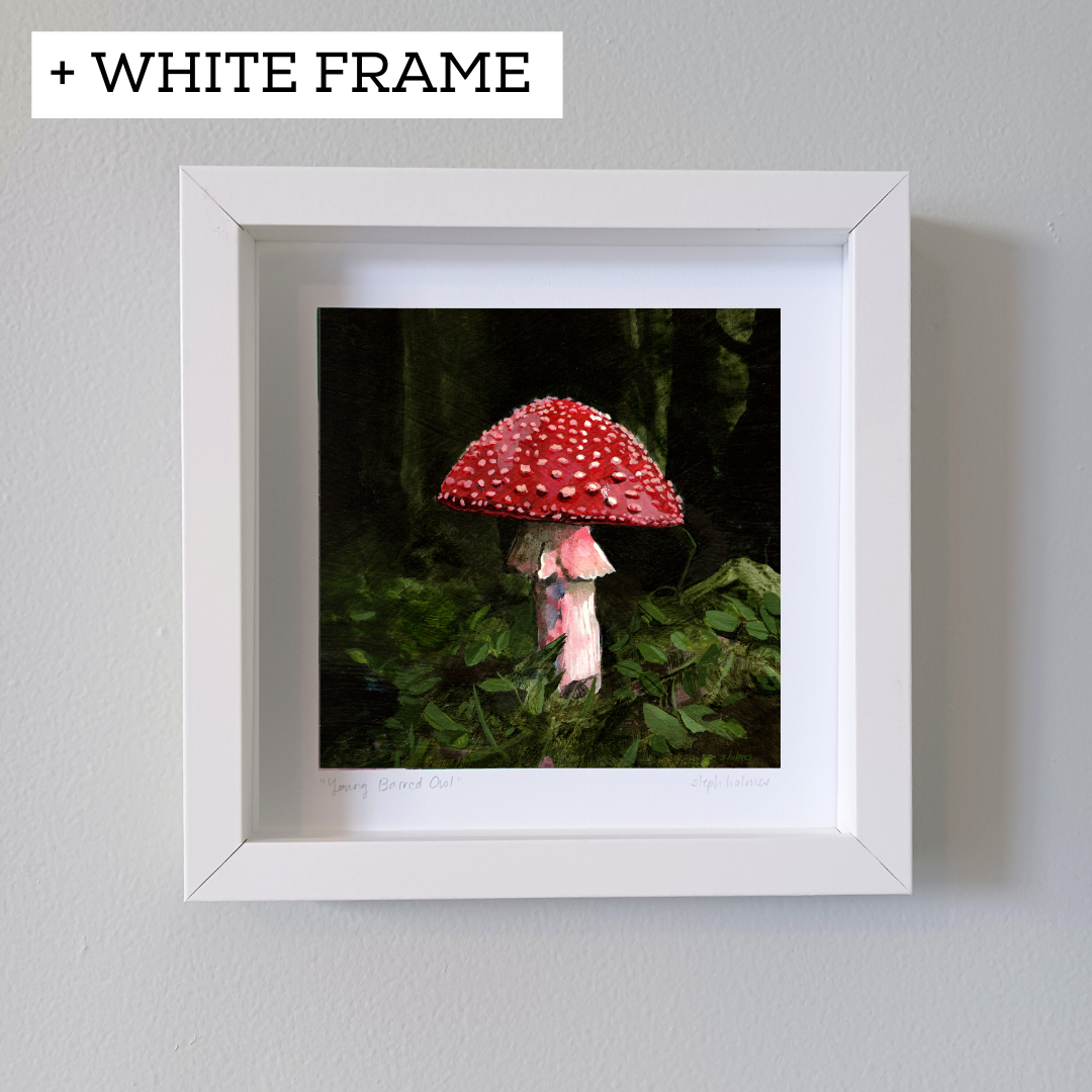 An art print featuring a red and white fly amanita mushroom in white frame.