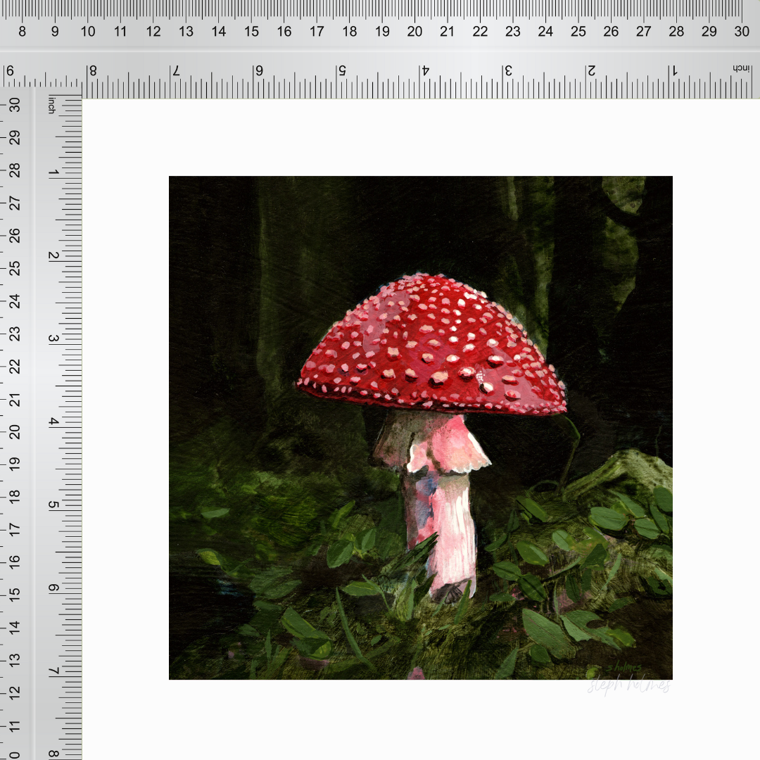 An art print featuring a red and white fly amanita mushroom next to a ruler for measurement.