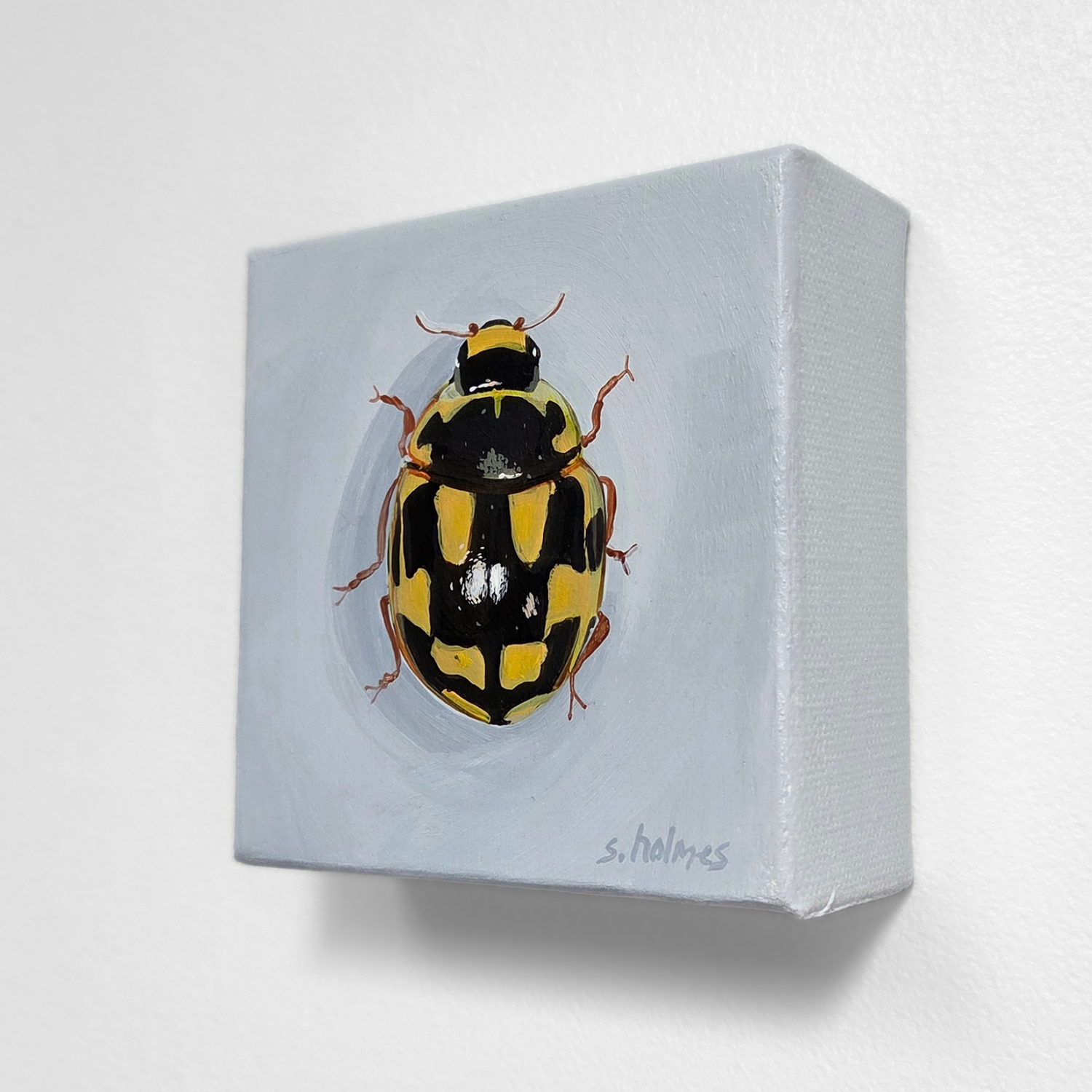 Small painting of a yellow and black ladybug on a light blue background