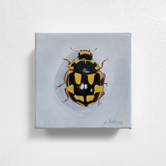 Painting of a ladybug on a light gray background