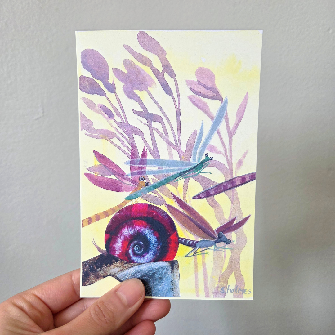 A hand holding an art print postcard featuring dragonflies.