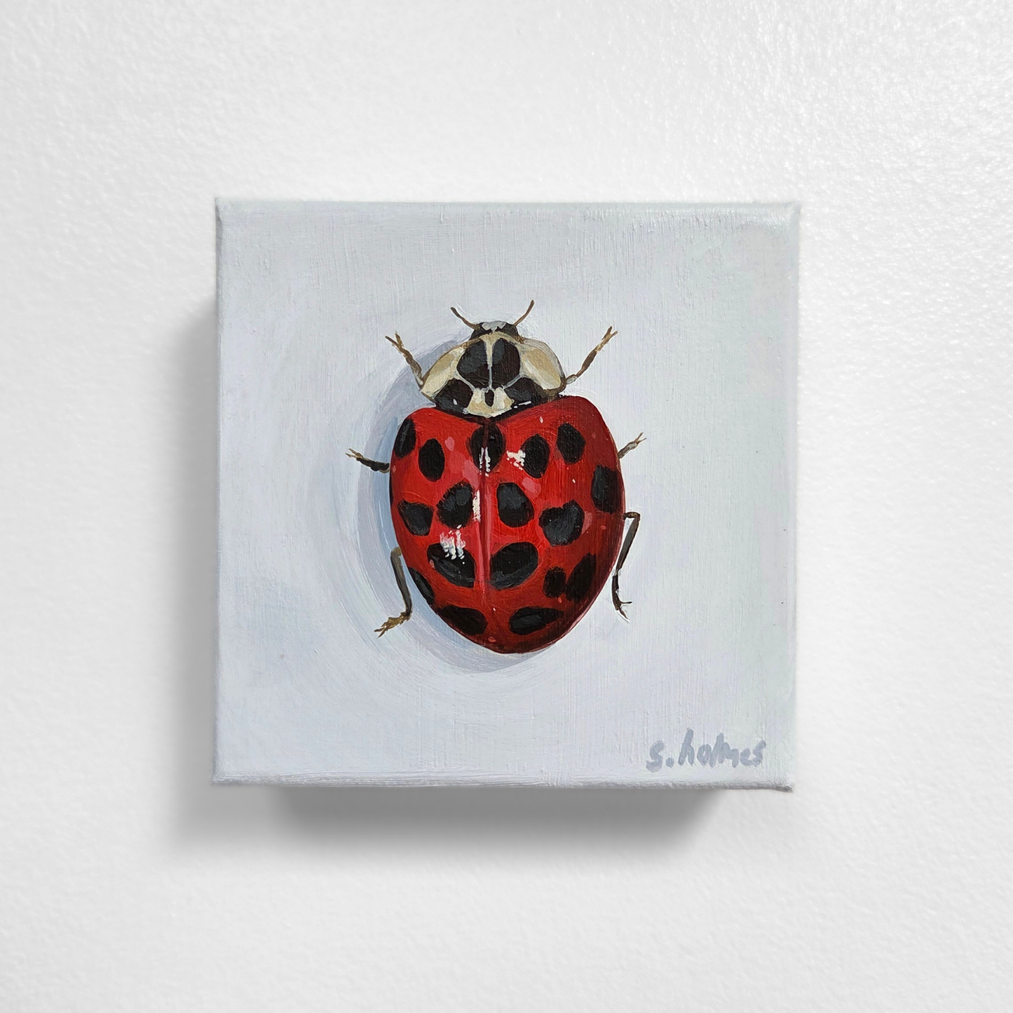 Painting of a ladybug on a white background