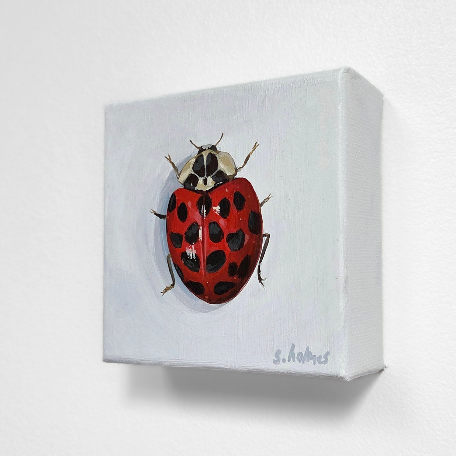 Painting of a ladybug on a white box with 's. holmes' signature.