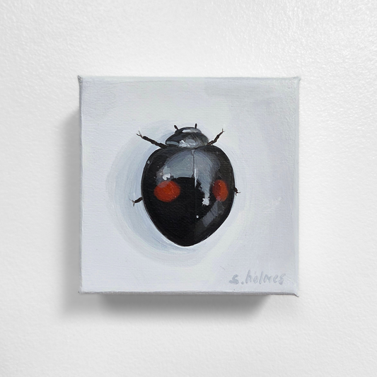 Painting of a ladybug on a white background