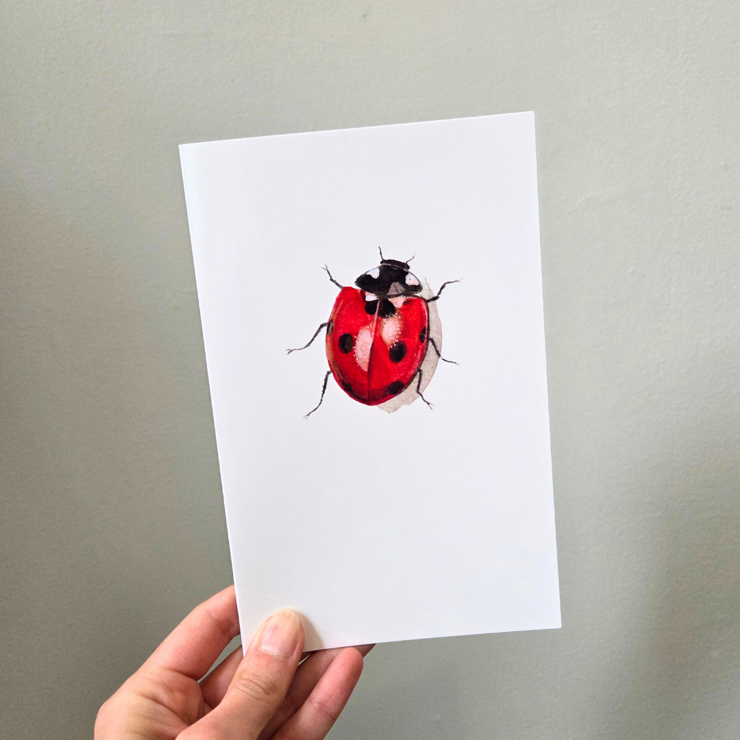 A hand holding a greeting card featuring a red ladybug. 