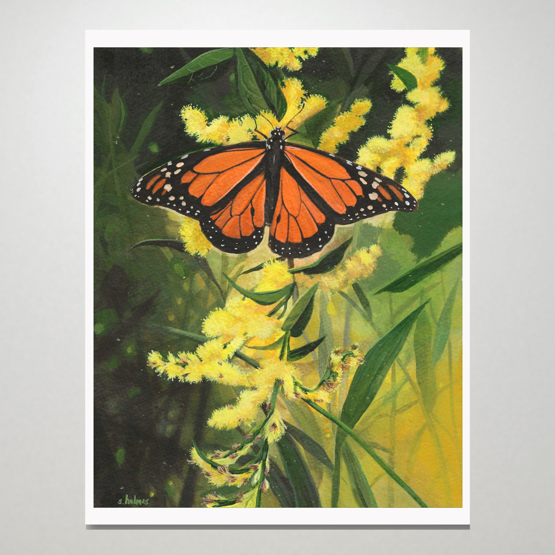 Monarch Butterfly in Goldenrod Fields print