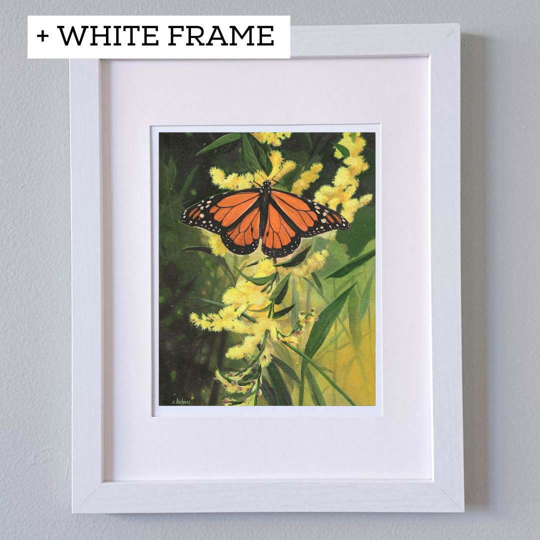 Monarch Butterfly in Goldenrod Fields print