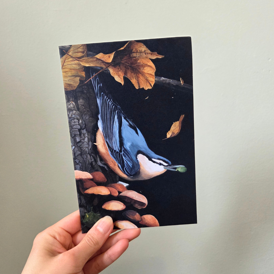 A hand holding a greeting card featuring a nuthatch bird and mushrooms.