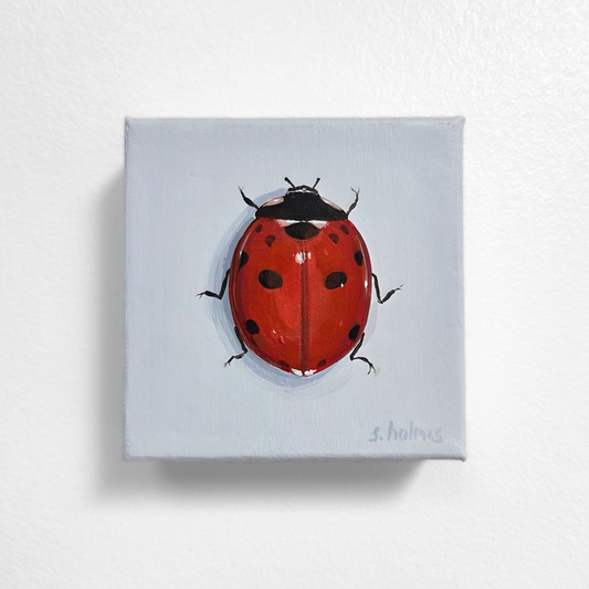 Painting of a red ladybug on a light gray background