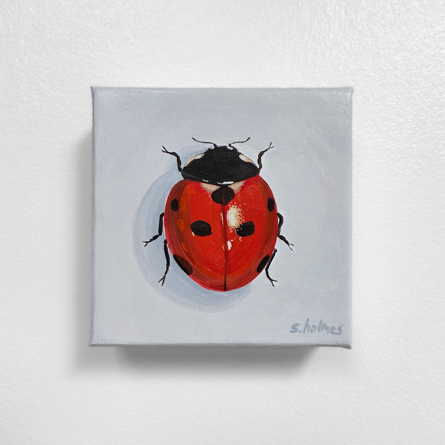 Painting of a red ladybug on a white background