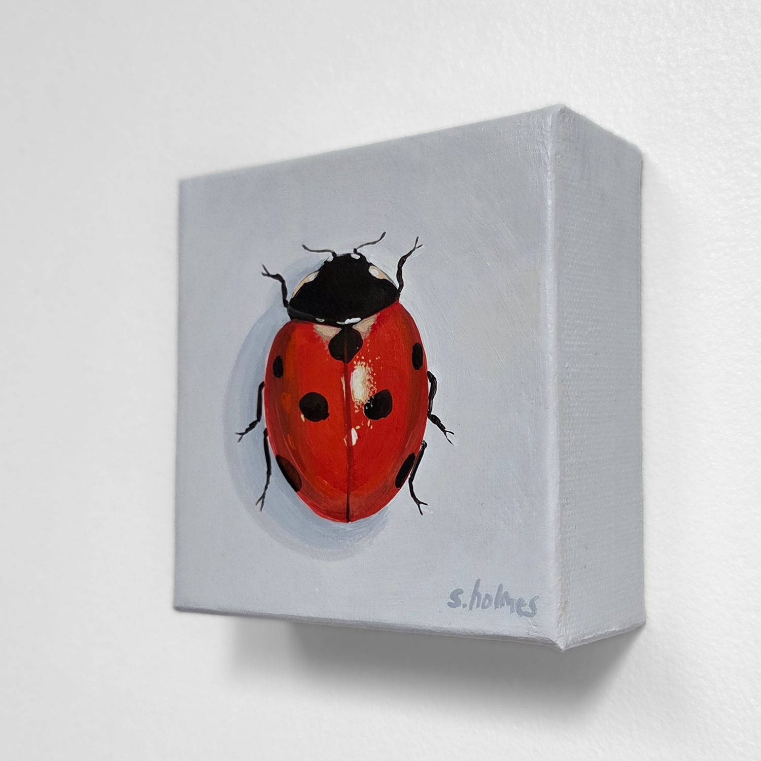 Small painting of a red ladybug on a gray background
