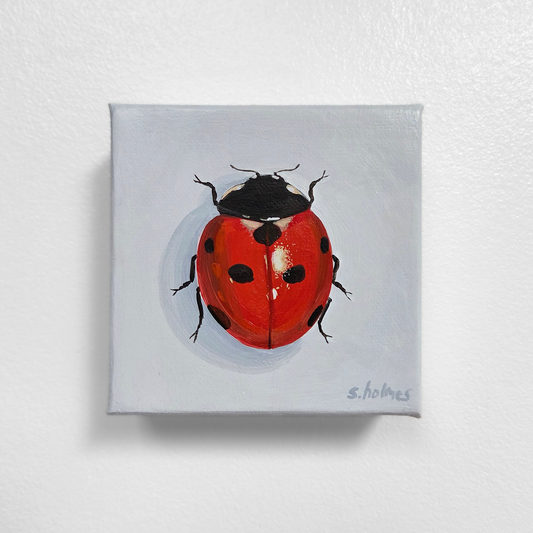 Painting of a red ladybug on a white background