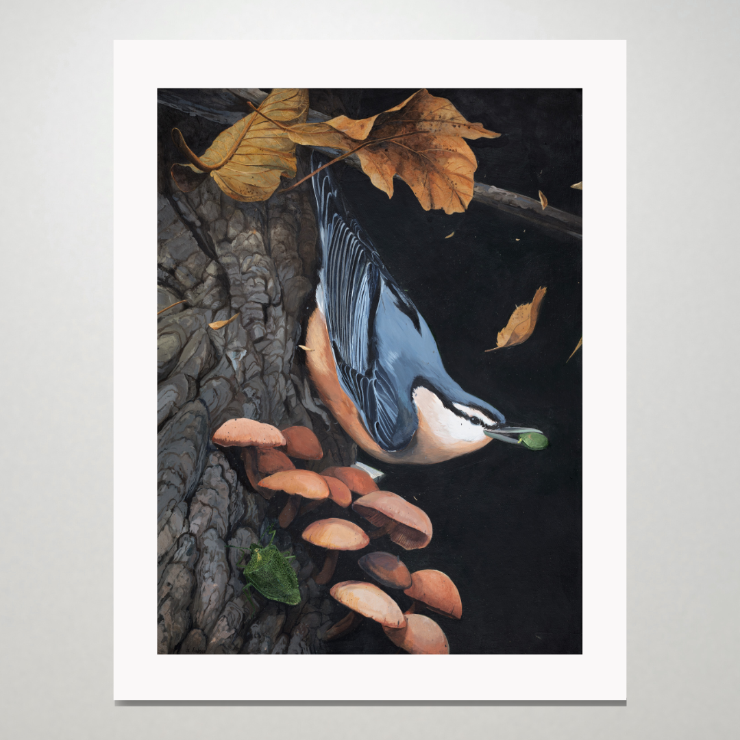 An art print featuring a nuthatch bird sitting on a tree with mushrooms and a green stinkbug. 