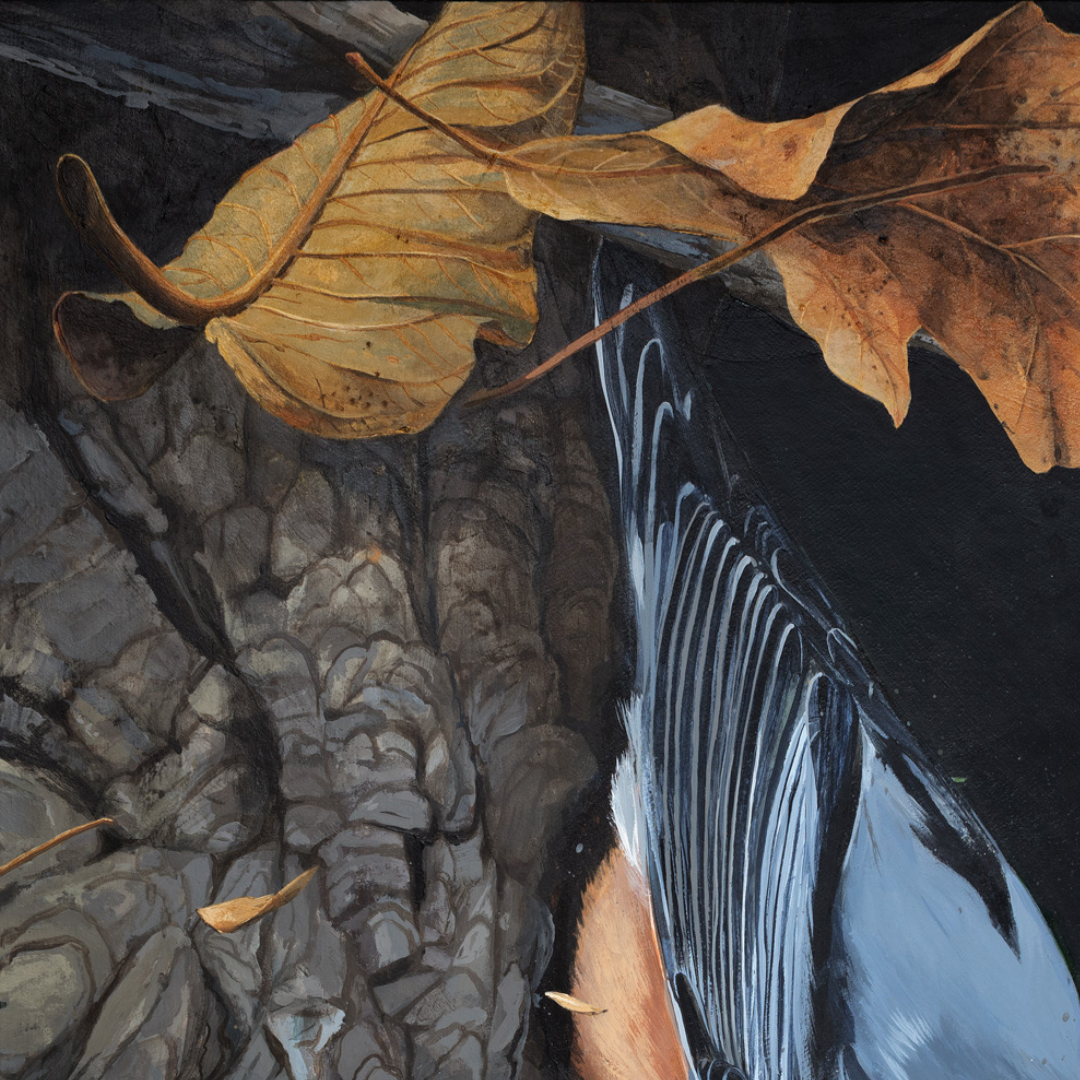 A detail shot of an art print featuring a nuthatch bird sitting on a tree with mushrooms and a green stinkbug. 