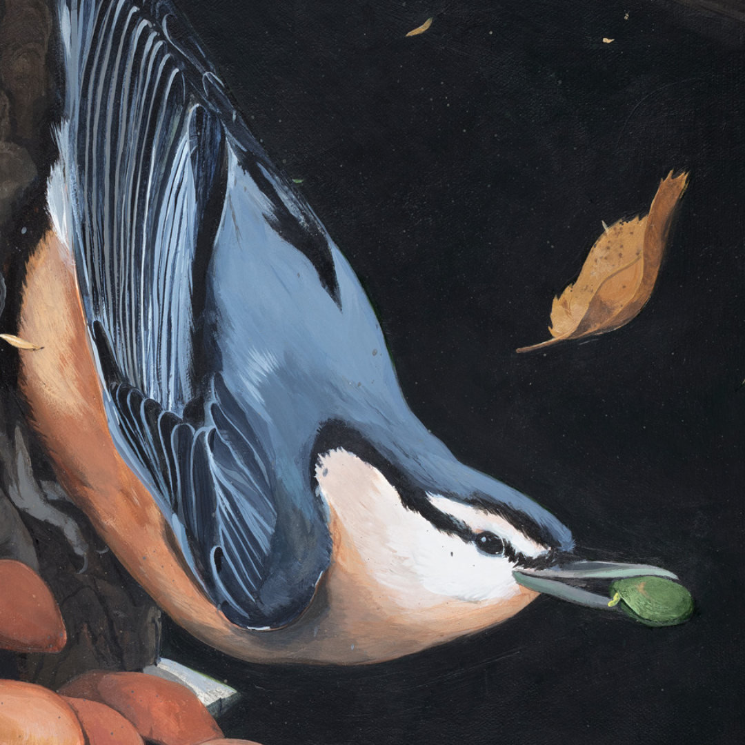 A detail shot of an art print featuring a nuthatch bird sitting on a tree with mushrooms and a green stinkbug. 