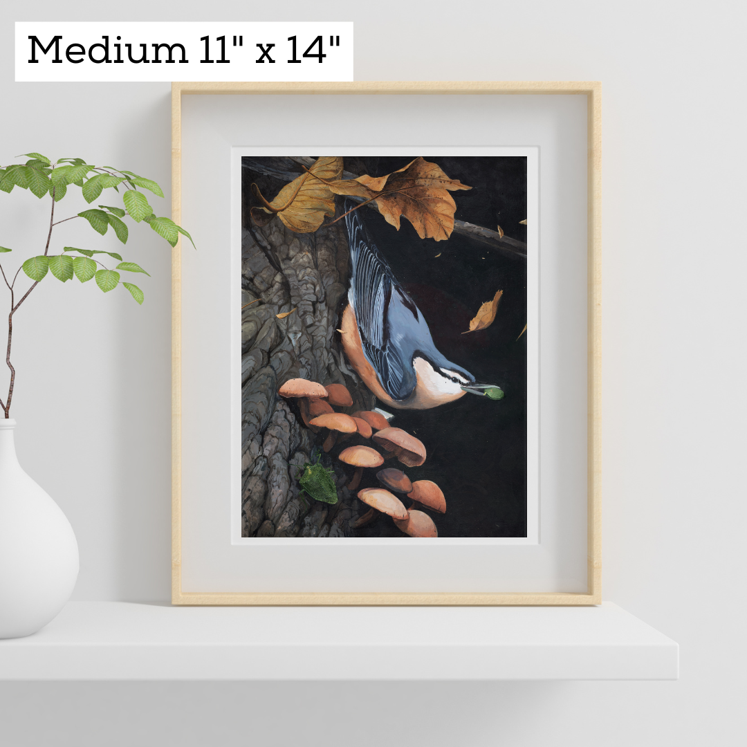 An art print featuring a nuthatch bird sitting on a tree in a wood frame on a white wall. 