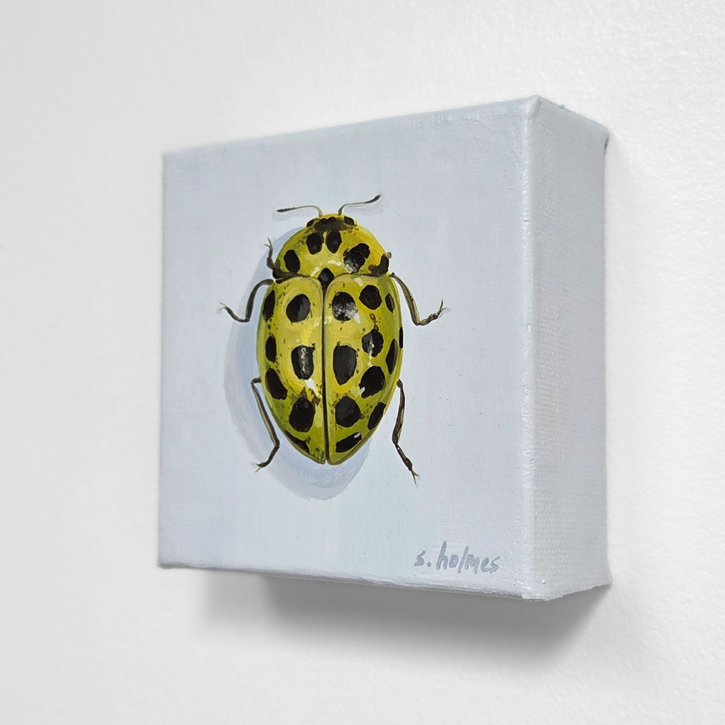 Canvas print of a yellow beetle with black spots on a white background