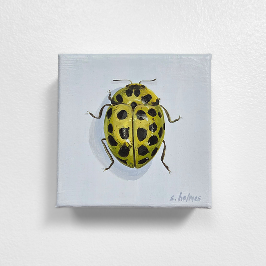 Painting of a yellow beetle with black spots on a white background